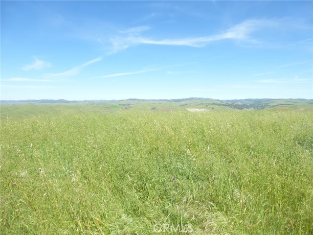 Detail Gallery Image 16 of 44 For 0 Douglas Rd. (Lot 34), San Miguel,  CA 93451 - – Beds | – Baths