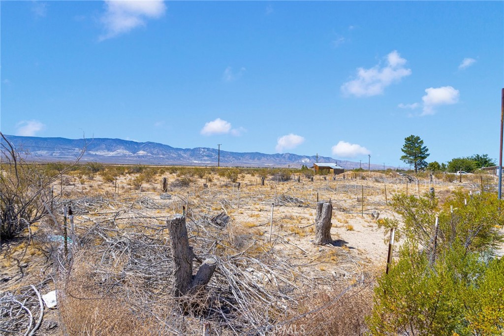 MLS #IG25187133 image #46