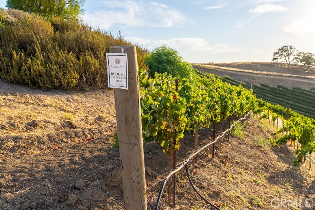 1825 Nygren Road, San Miguel CA: https://media.crmls.org/medias/09e71acb-6305-4f20-8e75-262a5c8e7b38.jpg
