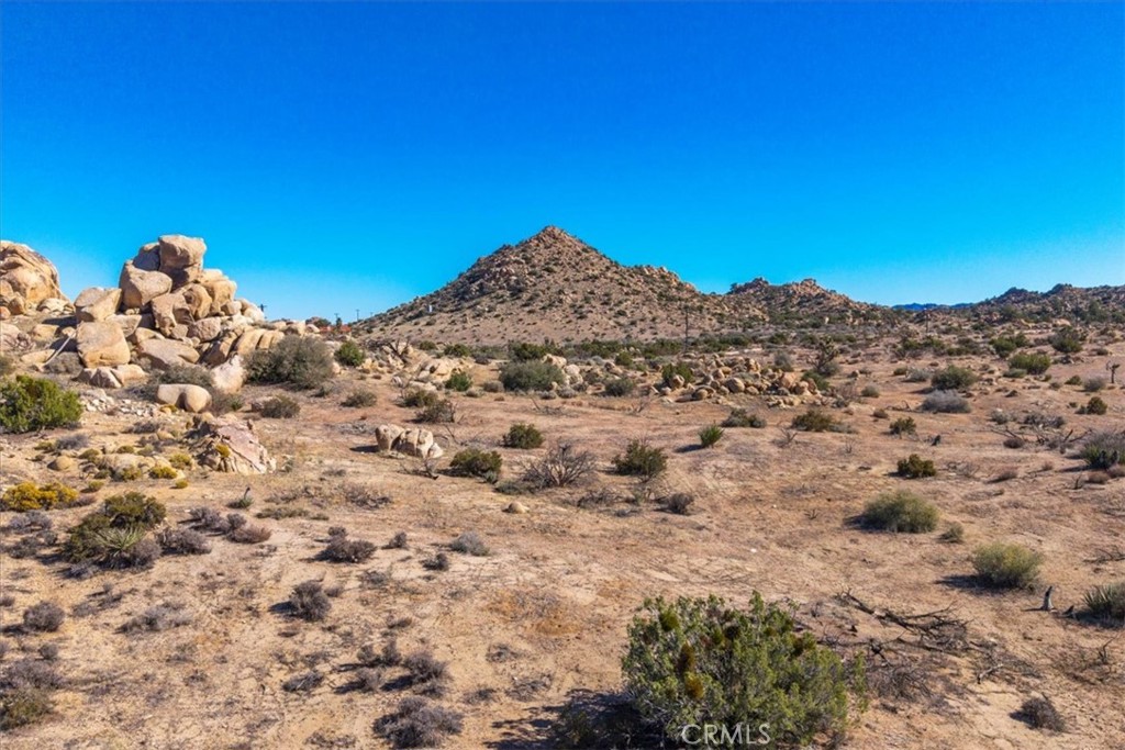 MLS #JT25250010 image #37