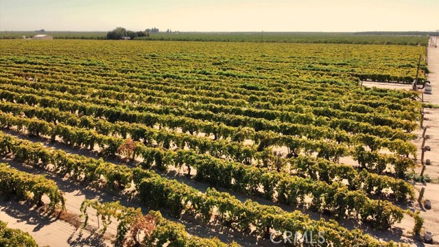 Detail Gallery Image 7 of 14 For 1 S Bishop, Kerman,  CA 93630 - – Beds | – Baths