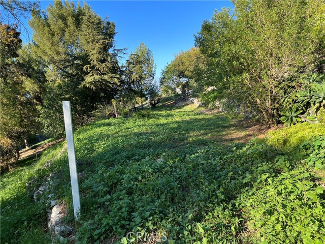 Lower pad, property line goes to the bottom of the canyon to the trail