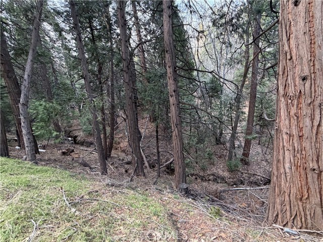 Detail Gallery Image 6 of 12 For 0 Hook Creek, Cedar Glen,  CA 92321 - – Beds | – Baths