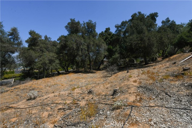 2475 Sunset Drive, Riverside CA: https://media.crmls.org/medias/09f6bc44-1155-48a4-bdec-c3552e698b19.jpg