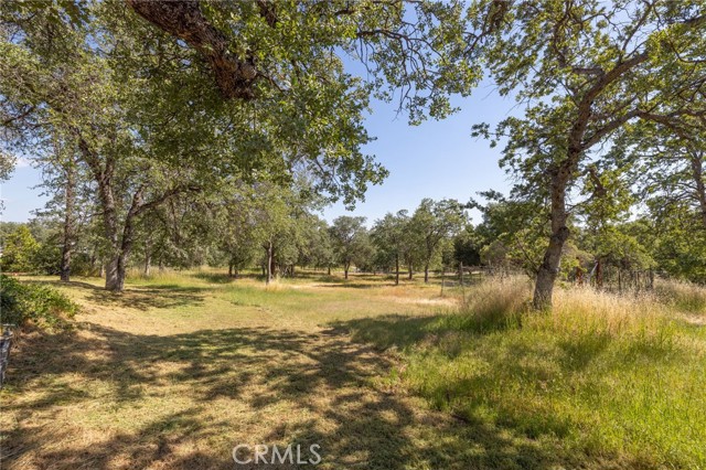 4372 Woodview Lane, Mariposa CA: https://media.crmls.org/medias/09f6cce5-663f-4cc8-bab3-8235ab8774e7.jpg