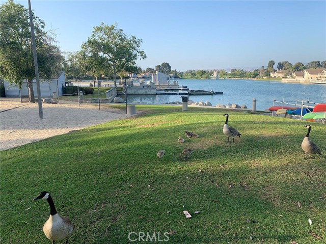 Detail Gallery Image 49 of 51 For 49 Thicket, Irvine,  CA 92614 - 3 Beds | 2 Baths