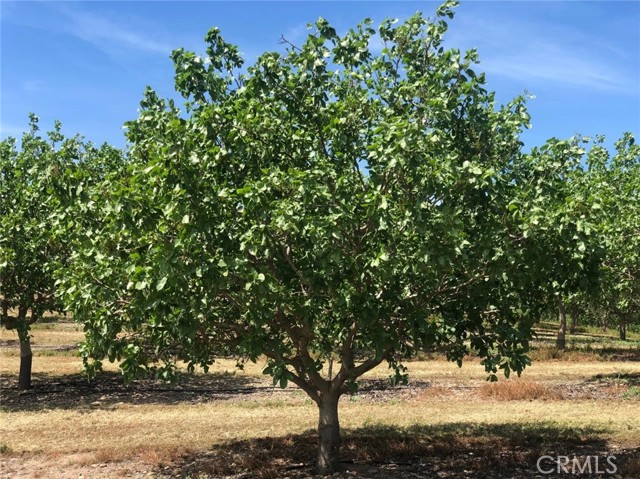 Detail Gallery Image 3 of 7 For 17981 Los Cerritos, Snelling,  CA 95369 - – Beds | – Baths