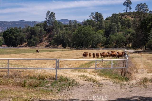 82980 White Road, San Miguel, CA, 93451 82980 White Road, San Miguel, CA, 93451
