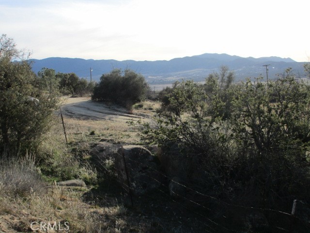 59490 Blue Jay Road