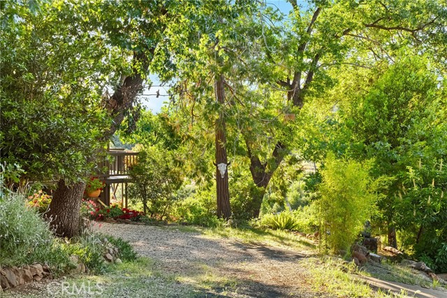 Detail Gallery Image 44 of 58 For 814 Natures Way, Paradise,  CA 95969 - 2 Beds | 2/1 Baths