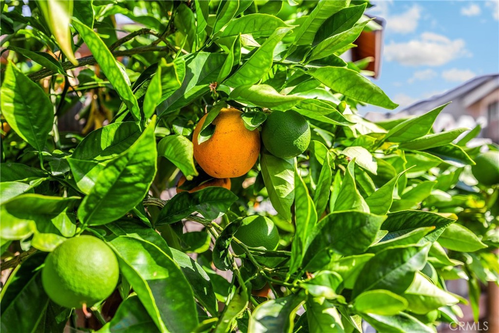 0a1a11cc Cc60 47bd A0ec 6a62bcdd741f