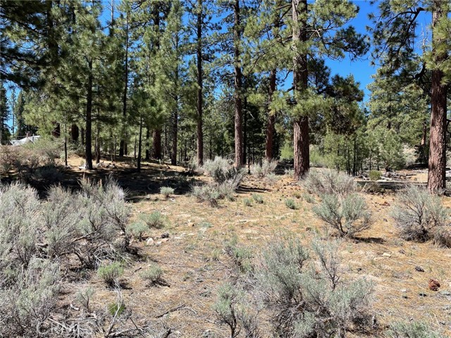 Detail Gallery Image 4 of 29 For 320 Starvation Flats Rd, Big Bear Lake,  CA 92315 - 4 Beds | 2 Baths