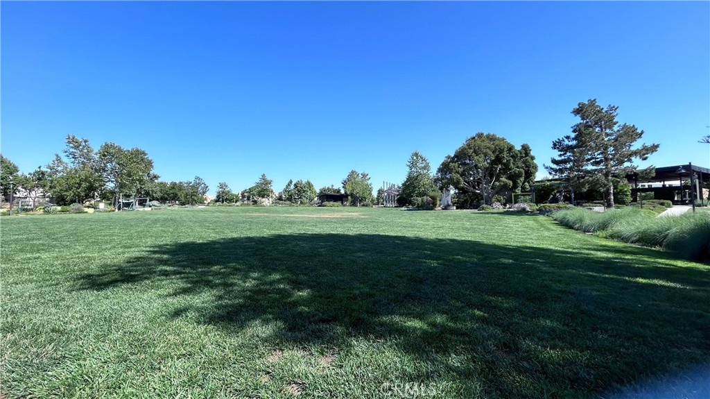 MLS #TR25280754 image #31