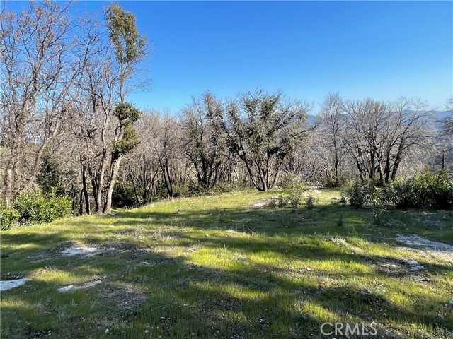 363 Raccoon Road, Berry Creek, California 95916, ,Land,For Sale,363 Raccoon Road,CROR24029245