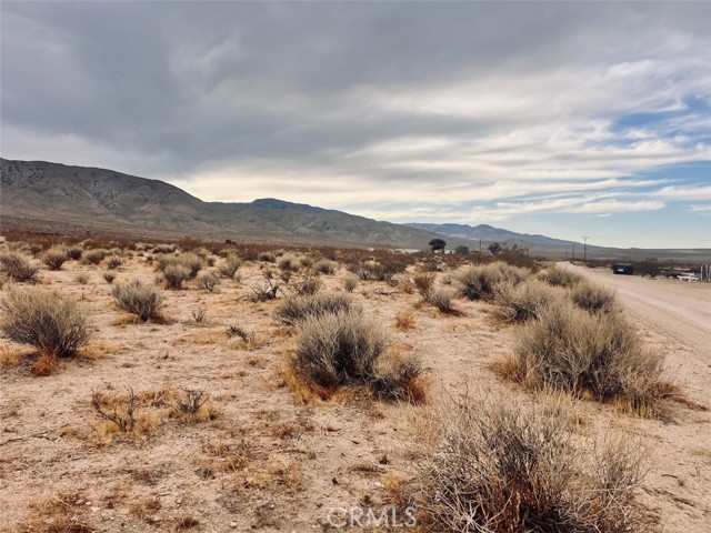 Detail Gallery Image 5 of 7 For 0 Ocotillo Rd, Johnson Valley,  CA 92285 - – Beds | – Baths
