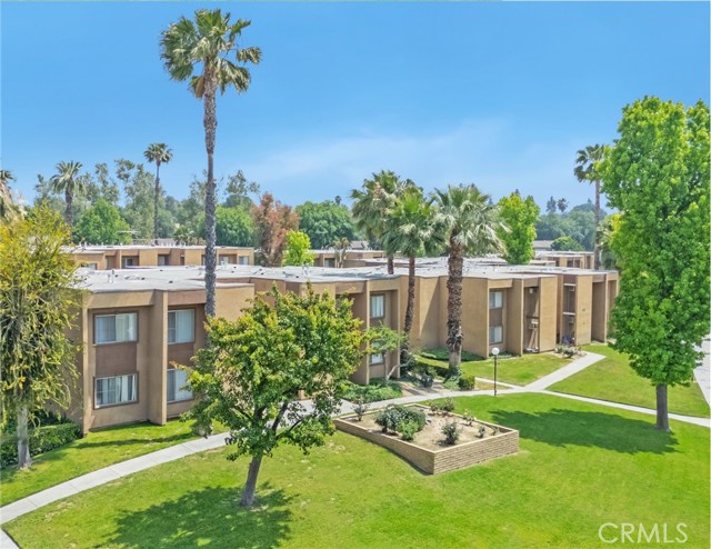 Detail Gallery Image 10 of 63 For 1066 N Orange St, Riverside,  CA 92501 - – Beds | – Baths