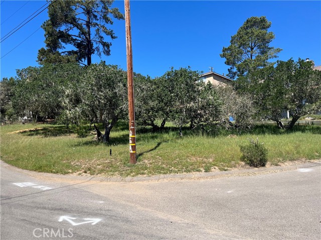 Detail Gallery Image 2 of 8 For 1606 Saint James, Cambria,  CA 93428 - – Beds | – Baths