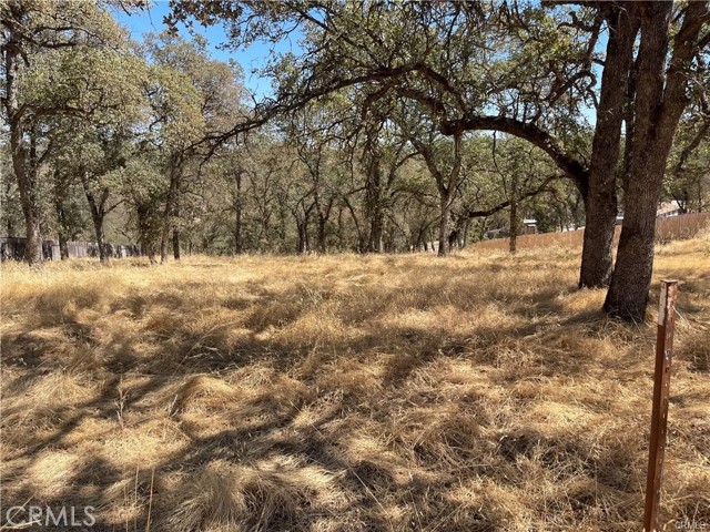 43 Alta Mira, Oroville, CA, 95966 43 Alta Mira, Oroville, CA, 95966