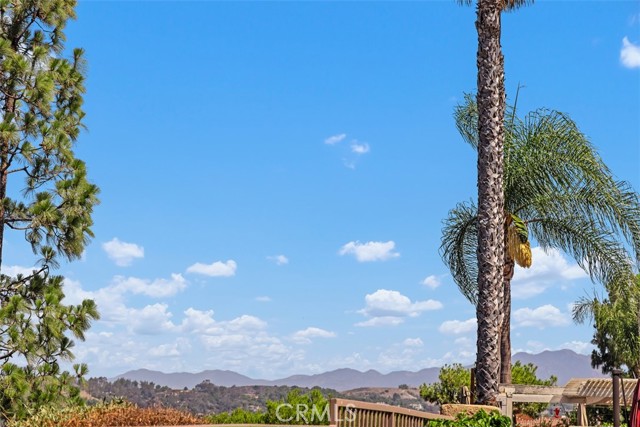 Detail Gallery Image 36 of 50 For 27477 Paseo Amador, San Juan Capistrano,  CA 92675 - 3 Beds | 2 Baths