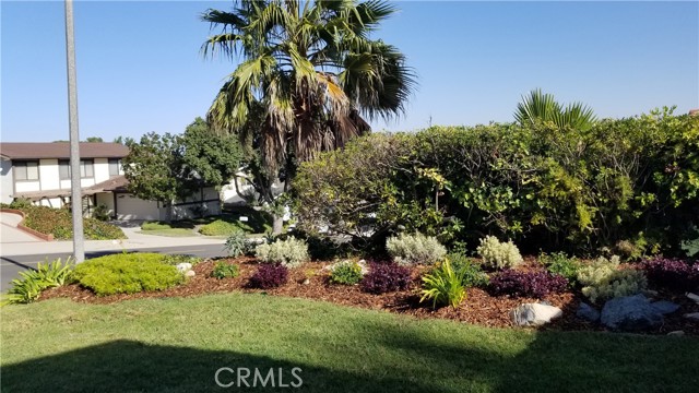 Detail Gallery Image 21 of 22 For 5072 Silver Arrow Dr, Rancho Palos Verdes,  CA 90275 - 3 Beds | 2/1 Baths