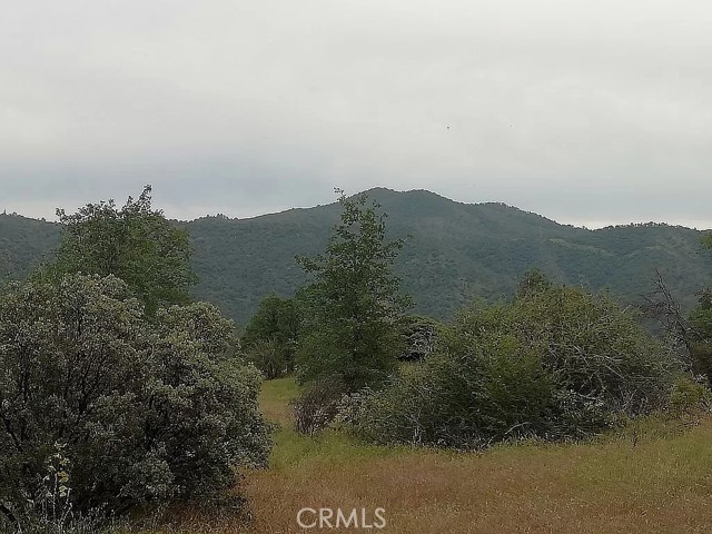 32880 Sycamore Road, Tollhouse, California 93667, ,Land,For Sale,32880 Sycamore Road,CROC24053578