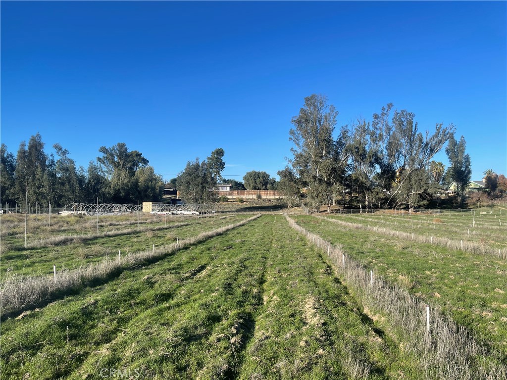 MLS #WS25276306 image #26