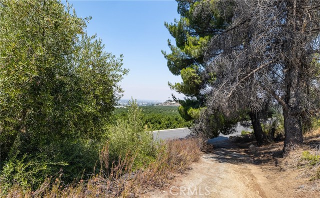 26600 Rio Vista Drive, Hemet CA: https://media.crmls.org/medias/0a3fc28f-a139-4c8b-b83f-b0f9351ac843.jpg
