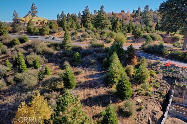 202 Hidden Forest Road, Lake Arrowhead, California 92352, ,Land,For Sale,202 Hidden Forest Road,CREV23214554