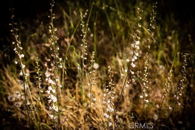 https://media.crmls.org/medias/0a529a12-d114-4bbf-8ad2-e670d384fbb0.jpg?preset=X-Large