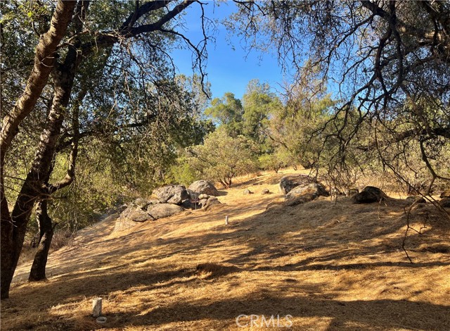 44293 Copper Creek Way, Coarsegold CA: https://media.crmls.org/medias/0a5af2c2-8317-4cbf-8ff5-64b7c6a3b07f.jpg