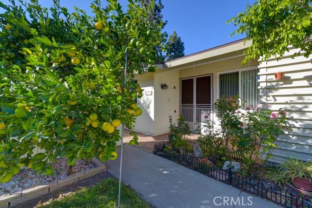 202 Avenida Majorca #G, Laguna Woods, CA 92637