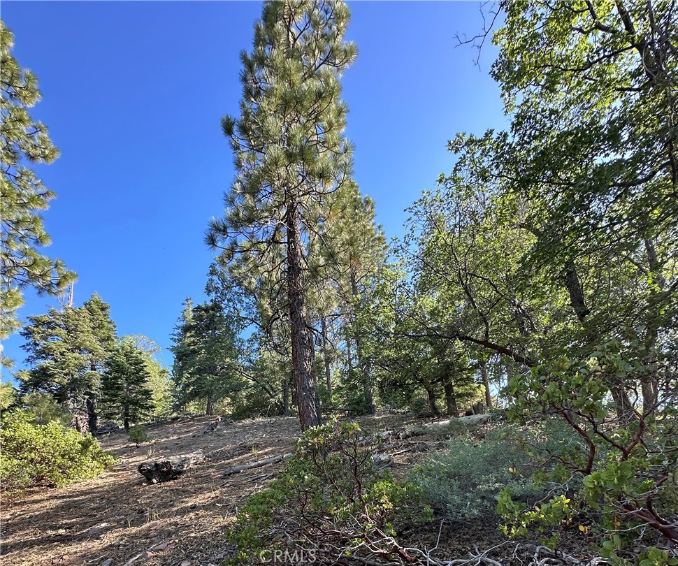 MLS #CV25165230 image #9