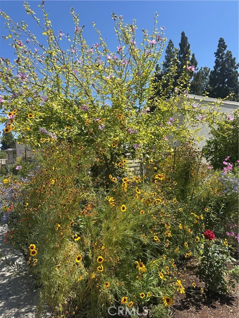 Detail Gallery Image 18 of 20 For 967 Calle Aragon #B,  Laguna Woods,  CA 92637 - 2 Beds | 2 Baths
