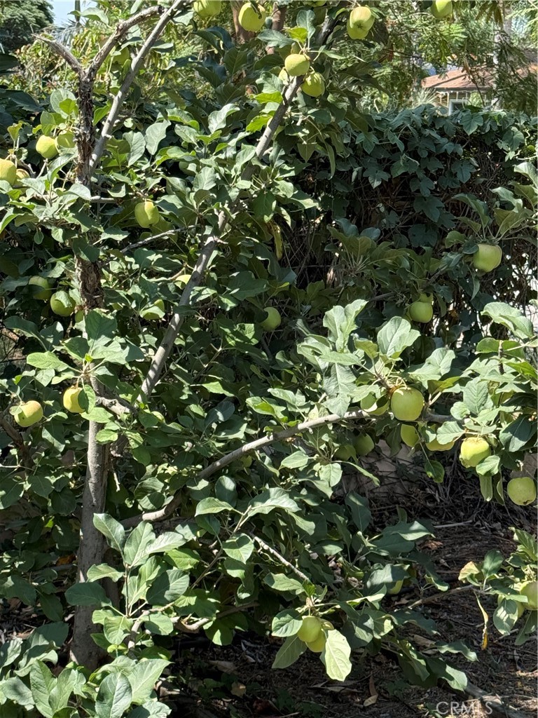 https://media.crmls.org/medias/0a62e5c6-f2f4-4ed2-973c-7d5272181eaa.jpg?preset=X-Large