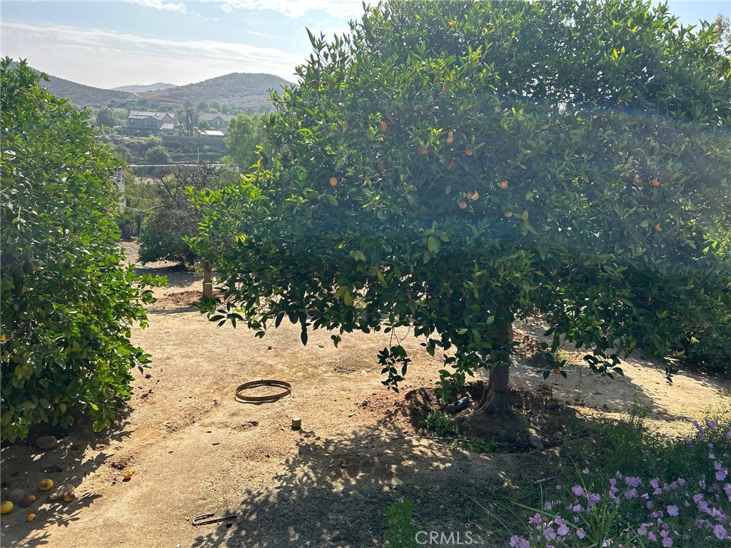 https://media.crmls.org/medias/0a64531c-fb9a-4051-ad46-d873dee50bbf.jpg?preset=X-Large