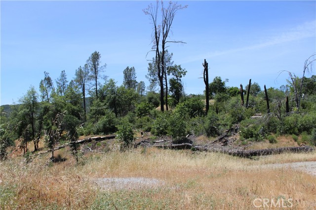 Detail Gallery Image 4 of 45 For 10255 Carrousel Dr, Redding,  CA 96001 - – Beds | – Baths