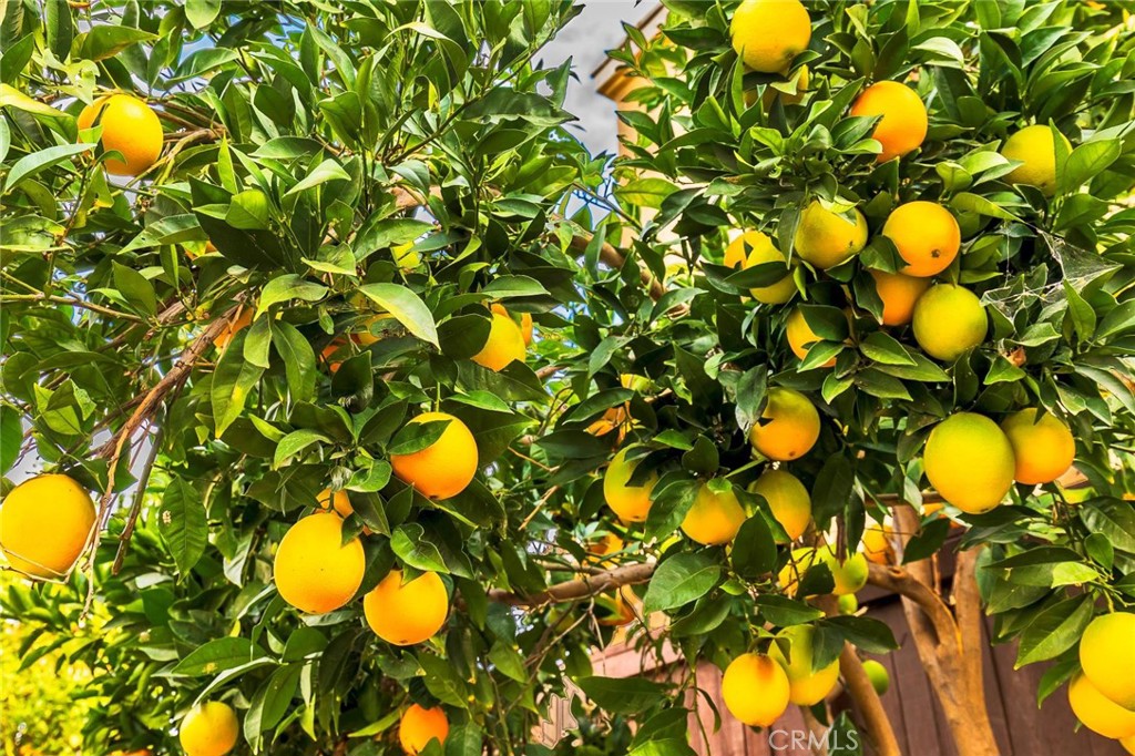 MLS #SW25260117 image #33