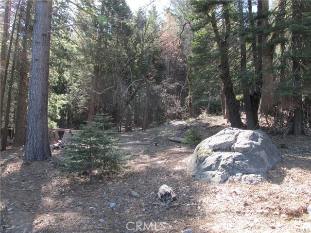 Detail Gallery Image 2 of 8 For 7497 Henness Cir, Yosemite,  CA 95389 - – Beds | – Baths