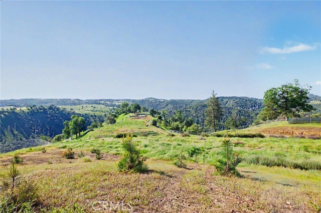 Image 11 of 36 For 3029 Freshwater