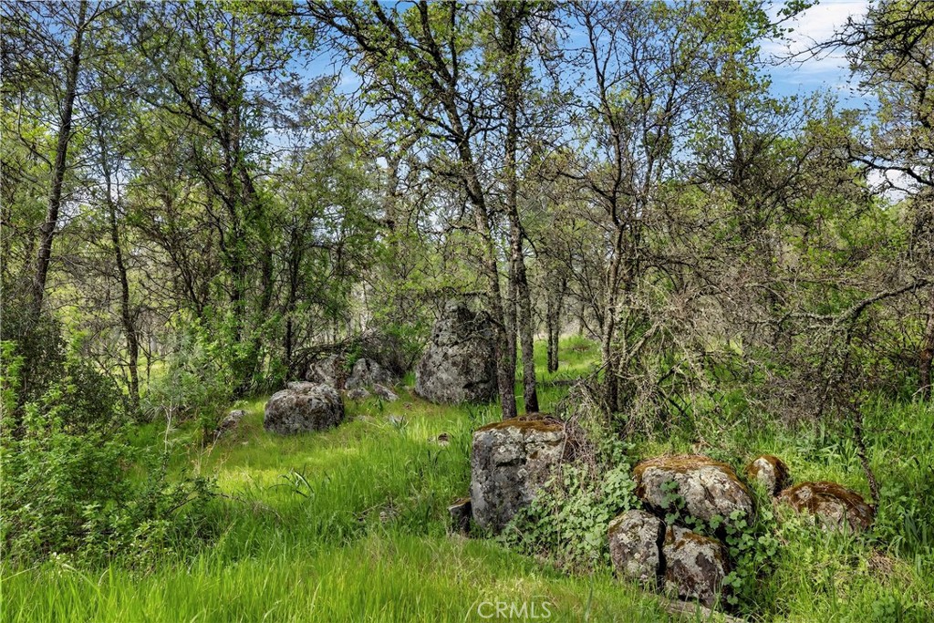 https://media.crmls.org/medias/0a70b189-929e-41b2-8f7d-1053b8d30fea.jpg?preset=X-Large