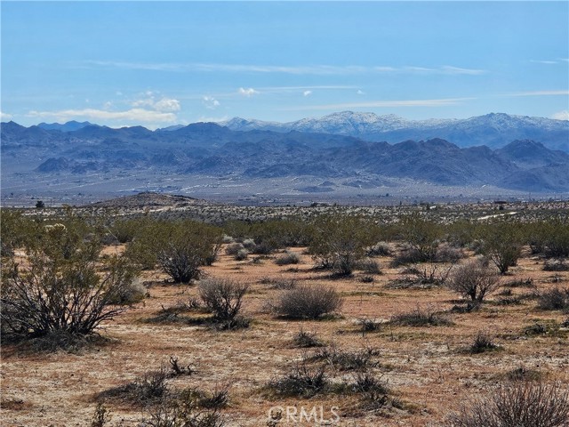 Front Image Thumbnail for CRJT26038266