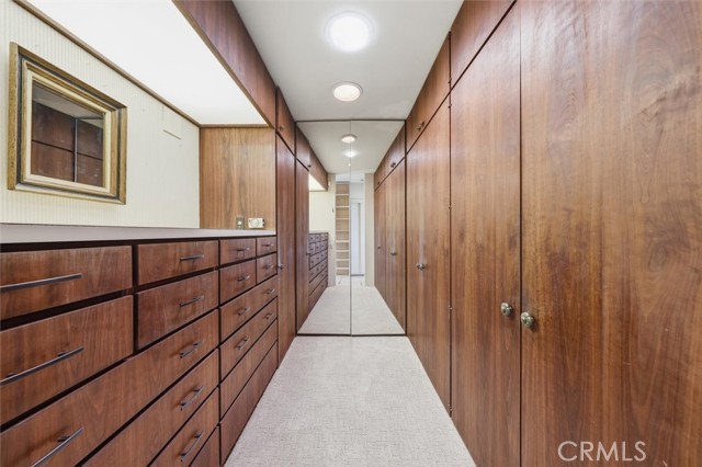 Image 32 of 66 For 100 Saddleback