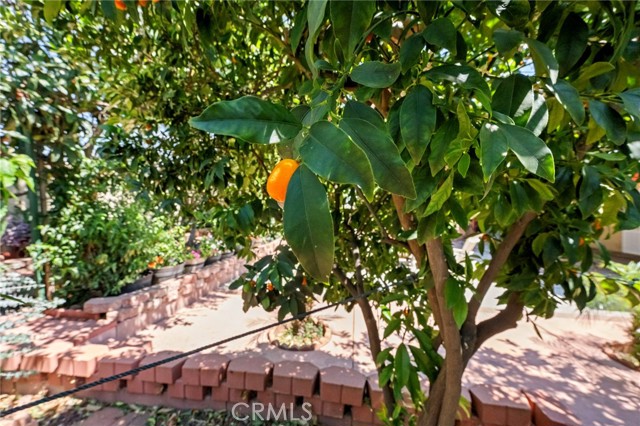 Detail Gallery Image 45 of 55 For 15070 Spring, Fontana,  CA 92335 - 5 Beds | 2 Baths