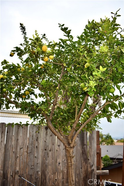 Detail Gallery Image 13 of 13 For 220 Camino Corto #39,  Vista,  CA 92083 - 2 Beds | 2 Baths