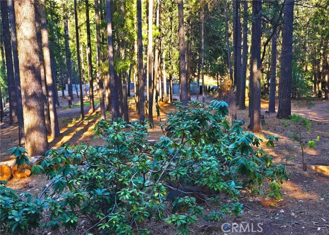 Detail Gallery Image 25 of 27 For 38 Weiss Hill Rd, Oroville,  CA 95966 - 3 Beds | 1/1 Baths