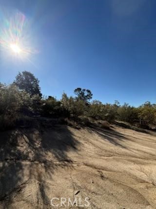 MLS #SW25227735 image #12