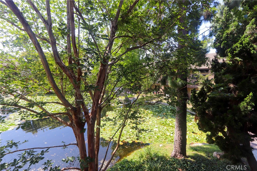 https://media.crmls.org/medias/0a87f26a-76ca-426a-8917-f200875af809.jpg?preset=X-Large