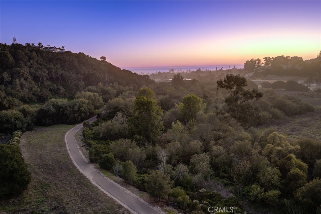 MLS #PI25250102 image #52