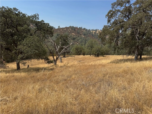 36530 Monarch Canyon Road, Coarsegold CA: https://media.crmls.org/medias/0a9120b7-b16e-42e9-896a-5758beffef64.jpg