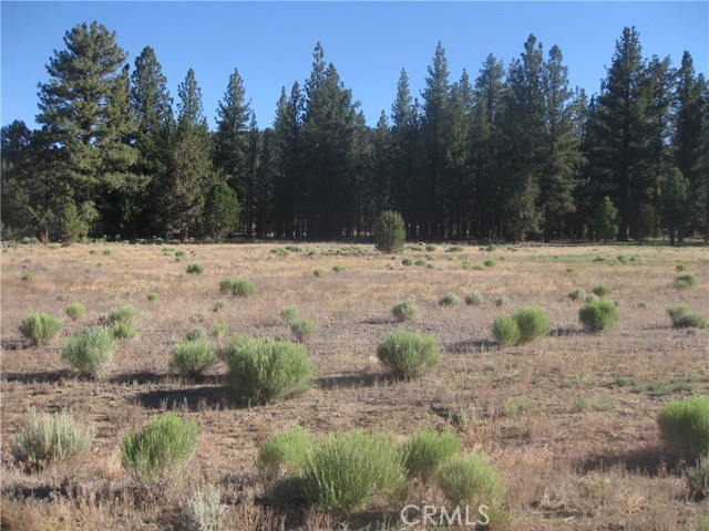 2818 Erwin Ranch Road, Big Bear City, California 92314, ,Land,For Sale,2818 Erwin Ranch Road,CRIV18216013